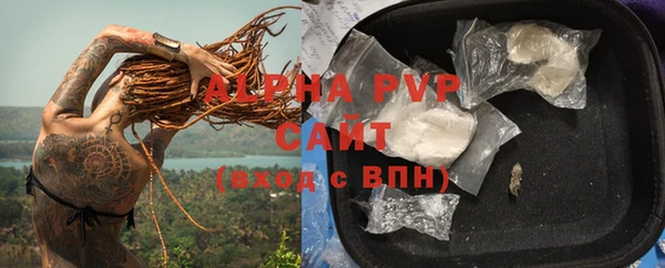 МДПВ Протвино